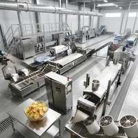 Hoge-efficiëntie productielijn voor aardappelchips met automatisch kleursorteersysteem voor de productie van premium snacks