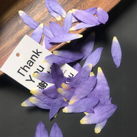 Petali di Ninfea Pressati Naturali Viola con Resina Epossidica per Gioielli Fai da Te, Petali di Ninfea Essiccati per Decorazioni di Gioielli