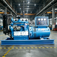 Générateur diesel de 100 kW avec générateur diesel de 200 kW, solution d'alimentation industrielle robuste