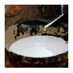 ลาเท็กซ์ฮาระดับพรีเมี่ยม (60% DRC)-Baiyue ทำจากยางธรรมชาติคุณภาพสูงทนต่อการสึกหรอสีขาวราคาดีที่สุดสำหรับรองเท้า - Product Image 1