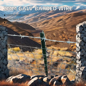 2Mm Dia 25Kg 200M Dây Sắt Thép Gai Chống Trộm Lưới Nhúng Nóng Mạ Kẽm Hàng Rào Thép Không Thấm Nước Giấy + Dệt Túi Joylink Gai - Product Image 6