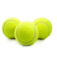 Balle interactive pour chien avec fonction tennis, outil d'entraînement en extérieur