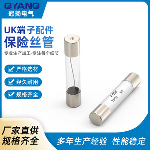กวนหยางฟิวส์ตลับ R055 5x25มม250V 6A แรงดันไฟฟ้าต่ำฟิวส์องค์ประกอบ - Product Image 5