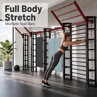Système d'entraînement mural multifonctionnel en métal robuste pour salle de sport commerciale, pour exercices de bras et triceps, unisexe