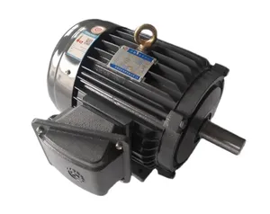 Motor especial para torre de enfriamiento Liangji AEVF-NV1.1KW-6. - Product Image 4