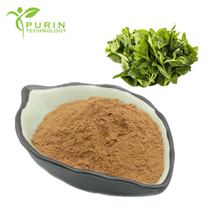 Extracto de Andrographis <span class=keywords><strong>Paniculata</strong></span>, Andrografólido CAS 5508-58-7, Polvo de Extracto de Andrographis - Product Image 2