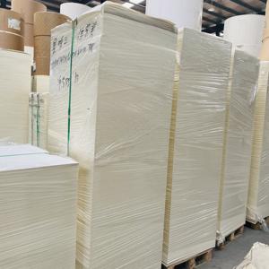 Material de papel para vasos, papel con revestimiento de PE simple o doble en hojas - Product Image 2