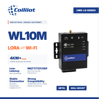 Passerelle LORA vers Wi-Fi pour appareils IoT, module sans fil bidirectionnel haute vitesse, montage mural, Coiliiot WL10M, boîtier métallique