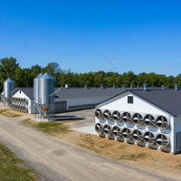 Bâtiment de ferme avicole préfabriqué en structure légère en acier au design moderne avec ventilation intégrée