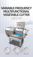 Automatische Multi-Fruit- en Groentesnijder, -hakselaar, -snijmachine
