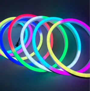 Lampu Strip Neon Led Rgb, Dekorasi 5M Kemasan Blister DC 12V 8X16Mm Pemrograman Ajaib Warna Penuh