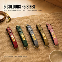Glish 1. Collier pour chien en cuir PU microfibre avec plaque gravée pour chiens de petite et moyenne taille, réglable, 5 couleurs, 5 tailles