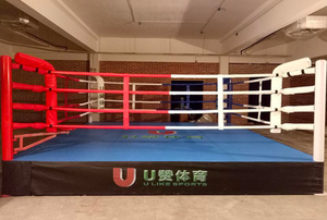 Vente internationale L'IBF Commercial standard Ring Pro <span class=keywords><strong>Cage</strong></span> <span class=keywords><strong>MMA</strong></span> UFC <span class=keywords><strong>Octogone</strong></span> Catch Tapis pour l'exportation - Product Image 6