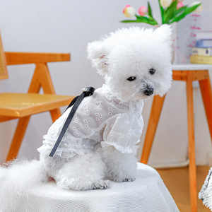 เสื้อผ้าสัตว์เลี้ยง PETCIRCLE สำหรับสุนัขขนาดเล็กและขนาดกลาง อุปกรณ์สำหรับสัตว์เลี้ยง เสื้อเชิ้ตสไตล์ฝรั่งเศสแบบโปร่งสำหรับสุนัข - Product Image 2
