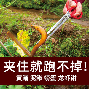 Fishing Plier Eel Gripper Stainless Steel Slanted Mouth For Ocean Beach Fishing Tools - Product Image 2