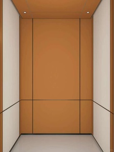 Ascenseur résidentiel panoramique supérieur de haute qualité avec garantie de 2 ans bon marché - Product Image 6