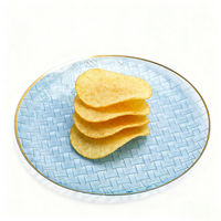 Assiettes en plastique jetables durables de 7/10 pouces, motif tressé moderne, bord doré, pour fêtes, traiteur, événements, mariages, restaurants