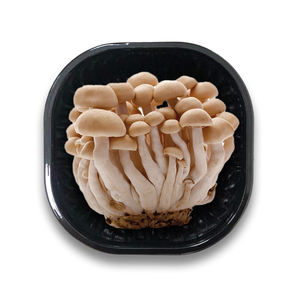 Bandeja de embalaje de setas frescas antivaho, contenedor de plástico PET para setas Shiitake Enoki y ostras - Product Image 1