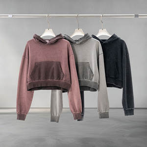 Logo personnalisable automne et hiver nouveaux modèles sweats à capuche unisexe 380g polaire et plus épais sweats à capuche et sweat-shirts pour hommes - Product Image 4