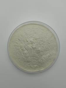 Высококачественный читозан высокой чистоты для функциональных продуктов питания по заводской цене - Product Image 2