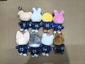 Nuevo Llavero Colgante de Peluche Suave de 12cm para Monedas, Stay Kids Fang Can Li Long Fu Felix <span class=keywords><strong>KARMA</strong></span> SKZ, Muñeco de Peluche Kpop de Dibujos Animados - Product Image 2