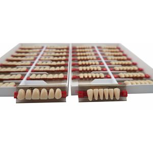 39.7 HD resina acrilica denti protesi dentaria superiore inferiore anteriore 16 sfumature - Product Image 6