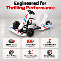 Kart électrique Crazy Kart 250W avec batterie au lithium 36V, lumières LED et Bluetooth