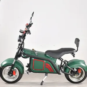 Scooter moto électrique avec coffre, capacité de charge lourde, 3 roues, moteur puissant