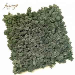 Décoration intérieure, mur végétal, décoration de bureau, plantes naturelles réelles, panneau de mousse stabilisée et préservée - Product Image 5