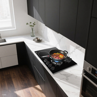 Cuisinière à gaz et électrique à 4 brûleurs en verre trempé, encastrable, usage commercial, hôtel, chauffage rapide, efficacité énergétique de classe 1, plaque de cuisson 24