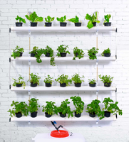Plateau de germination flottant personnalisé pour l'agriculture hydroponique Microgreen Plateau thermoformé pour le formage sous vide