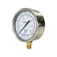 Manomètre à tube Bourdon en acier inoxydable DACHENG Y-100S 100 mm, résistant à la corrosion, 0-600 bar, classe 2.5, IP65, garantie 1 an