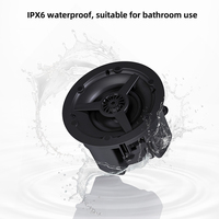 Module amplificateur pour haut-parleur de plafond Texas Instruments avec puce Hi-Fi, prise en charge du réseau, Bluetooth, AirPlay, DLNA et lecture multi-sources musicales