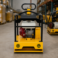 Compacteur à plaques double puissance 20KN de 100 kg pour le compactage du sol - Vente en gros