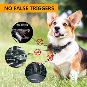 Collier <span class=keywords><strong>anti</strong></span>-aboiement personnalisé pour <span class=keywords><strong>chien</strong></span>, rechargeable, étanche IP67, 5 niveaux de sensibilité, batterie 60 jours, collier d'entraînement à distance - Product Image 5