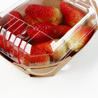 10 boîtes biodégradables pour fraises et fraises, conteneur de pommes de terre, avec plateau en papier kraft et couvercle PLA, vente en gros