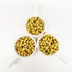 Graine de soja jaune germée de haute qualité, NON gm, soja séché en vrac, soja biologique - Product Image 3
