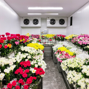 ห้องเย็นสำหรับเก็บรักษาดอกไม้ เนื้อสัตว์ ผัก และผลไม้ พร้อมระบบระบายอากาศ - Product Image 3