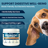 Friandises Probiotiques Personnalisées pour Chiens : Soutien Digestif, Santé Intestinale, Immunité, Équilibre Quotidien, Compléments de Soins pour Animaux de Compagnie