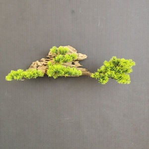 50X10cm simulación saludo Pino hecho a mano pequeño árbol colgante de pared decoración colgante estudio sala de estar pared del Hotel - Product Image 3