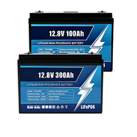Batterie LiFePo4 personnalisée 12V 24V 100Ah, batterie au lithium 24V 100Ah 200Ah 300Ah 460Ah 600Ah, 6000 cycles, batterie pour caravane et yacht