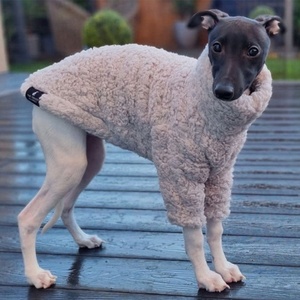 Qiqu Pet Supplies Nouveau pull en polaire doux et moelleux pour <span class=keywords><strong>chien</strong></span>, pyjama, costume pour lévrier italien, whippet, lurcher, <span class=keywords><strong>saluki</strong></span>, lévrier de race - Product Image 1
