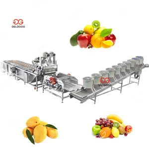 Gelgoog Industrial 5 Tonnen/Std. Fruchtwasch- und Sortiermaschine Tomatenwaschmaschine Granatapfel-Waschlinie