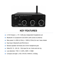 Amplificateur audio de voiture 2.1 canaux BT 5.0 12V-24V Mini HiFi Subwoofer pour transducteur tactile Bass Shaker