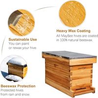 Boîte Nuc de ruche à alimentation automatique à 5 cadres revêtue de cire d'abeille 100% comprend des cadres de ruche et des fondations cirées