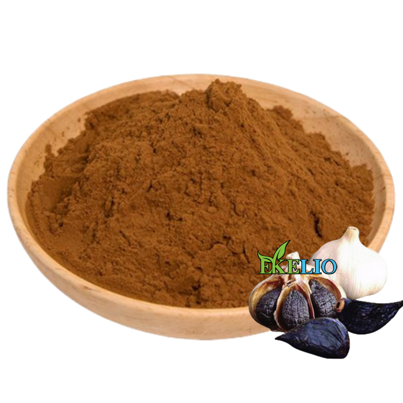 Fermented Black Garlic Extract Powder Sac 0.1% Powder Food Grade Black Garlic Powder