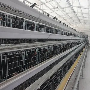 A Type Q235 Steel Layer Chicken Cage Hot Dip Galvanized Wire Mesh 160 Birds Battery Cage