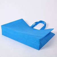 Service personnalisé à guichet unique 100% sac à provisions en matériau recyclable sac de publicité de marque non tissé
