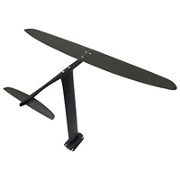 Hydroptère en carbone d'usine OEM 1310 2100 sqcm Dock Start Wingfoil Hydroptère Débutant Foil Set Pumpfoil Downwind Kitesurf