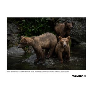 Objectif zoom ultra-longue focale Tamron 150-500mm F/5-6.7 Di III VC VXD DF original plein format pour appareils photo Sony – Vente en gros - Product Image 6